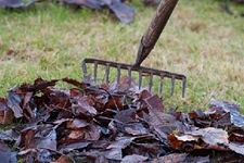 If you have a Garden Waste Permit, collect garden waste such as leaves, grass and weeds