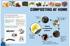 Composting at home is a good way to turn uncooked food waste into a valuable resource for your garden.