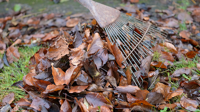 garden waste permit image