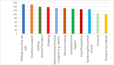 Bar graph detailing the types of care surveyed carers provide