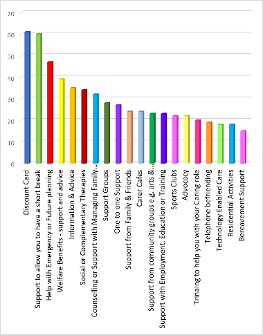 Bar graph showing the types of support carers would like to have