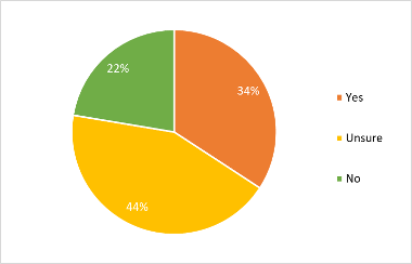 Pie chart showing if Young Carers believed they had a young Carers Statement: 34% said yes; 44% were unsure; 22% said no