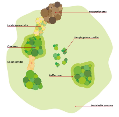 The image shows a simplified landscape with discrete core areas, important for biodiversity, that are isolated from one another. 